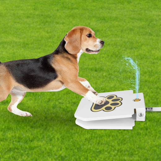 Beagle pressing the paw pedal on a lawn while a jet of water arcs up from the Step-On Dog Water Fountain