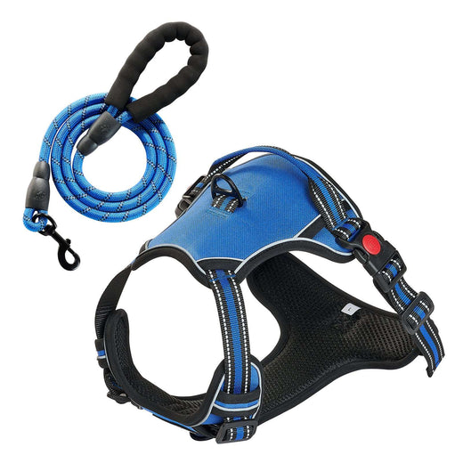 No-Pull Dog Harness with 5ft leash — main product photo