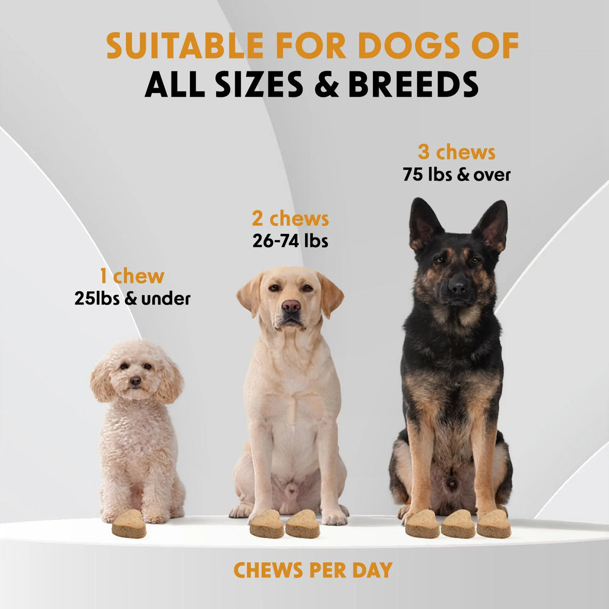 Dr Woow Dog Fur & Skin Care Soft Chews, High-Protein Salmon Flavor Treats with Biotin & Vitamins, Supports Shiny Coat, Reduces Dryness, Boosts Healthy Skin