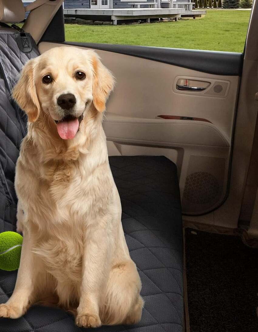 Dog Car Seat Cover — golden retriever sitting on the installed back-seat cover
