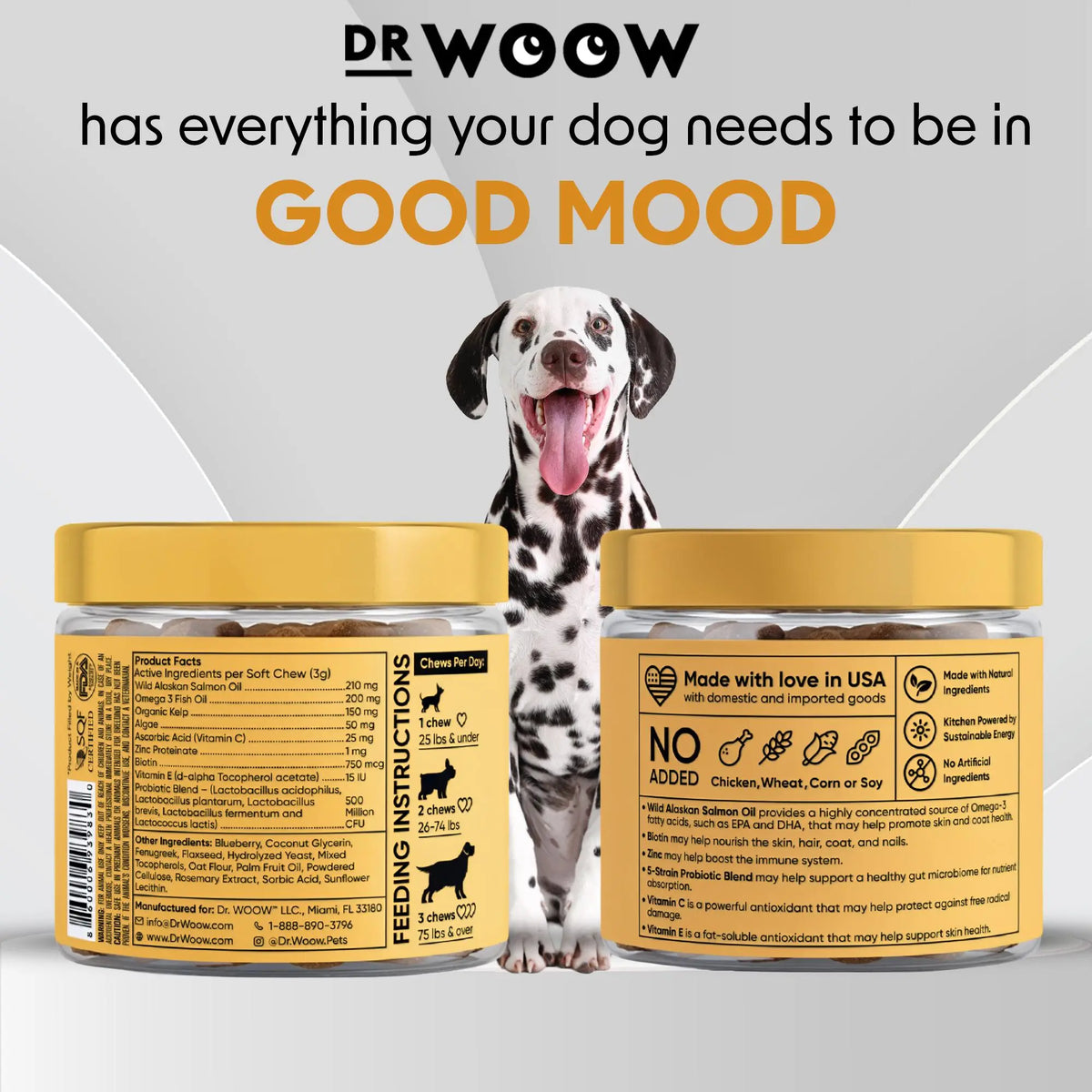 Dr Woow Dog Fur & Skin Care Soft Chews, High-Protein Salmon Flavor Treats with Biotin & Vitamins, Supports Shiny Coat, Reduces Dryness, Boosts Healthy Skin