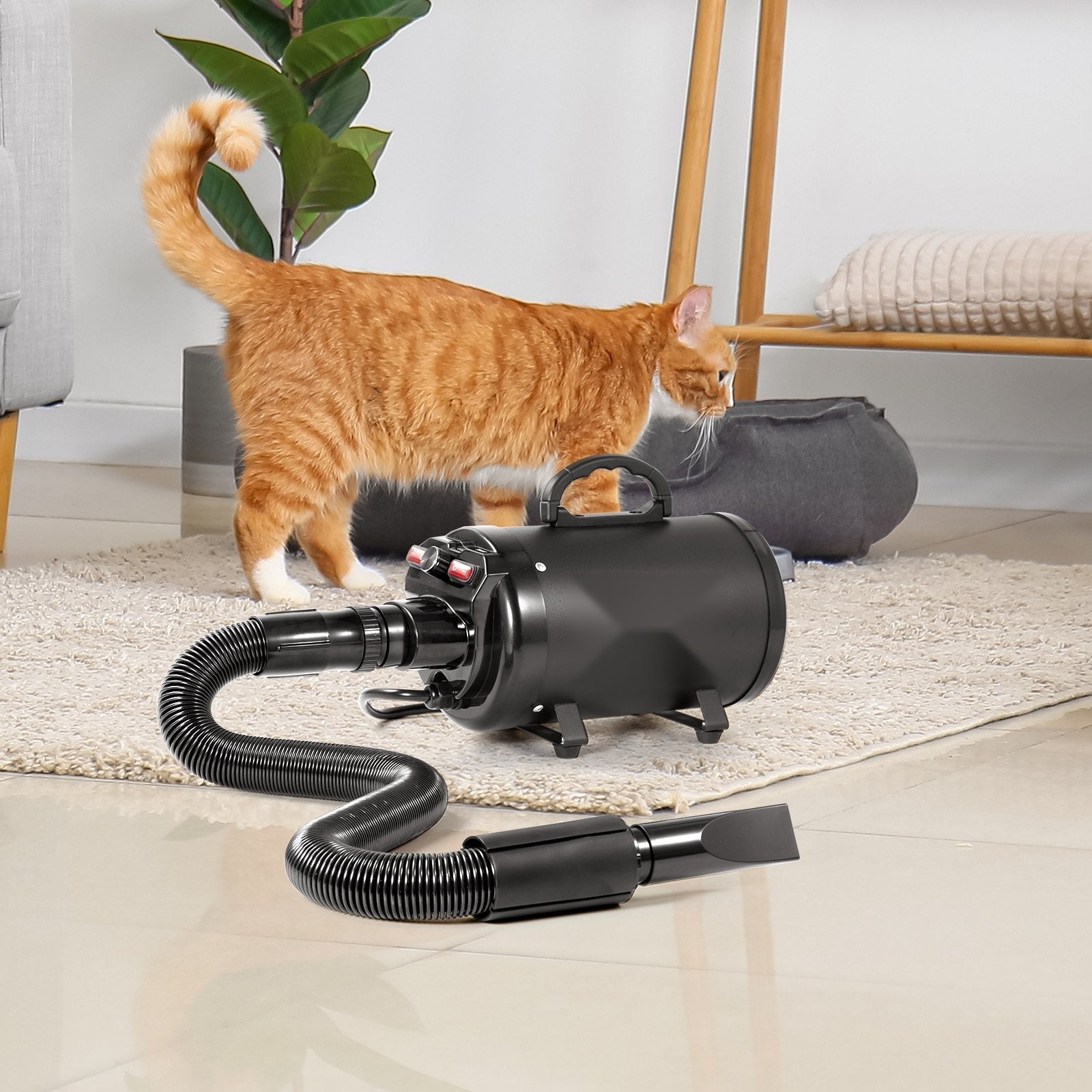 2800W Dog Dryer - lifestyle with cat