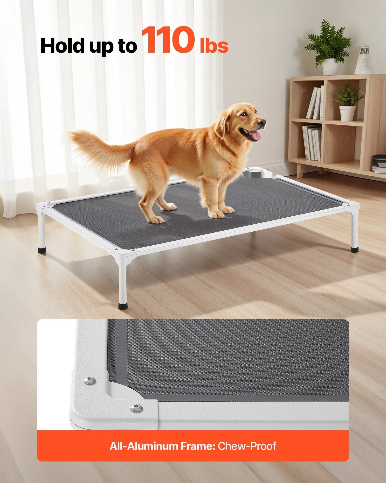 Elevated Dog Bed - lifestyle, large dog resting on bed