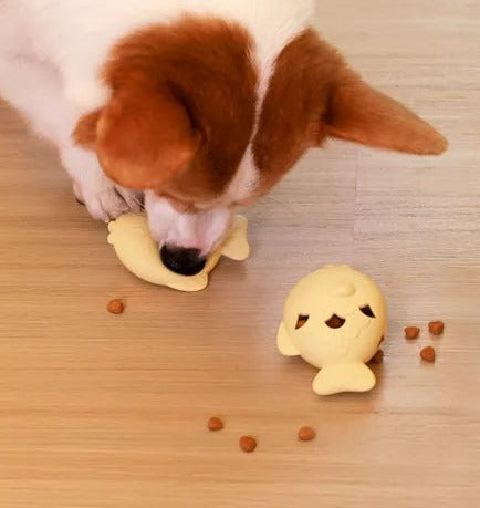 Dog eating treats from the fish-shaped treat dispenser toy
