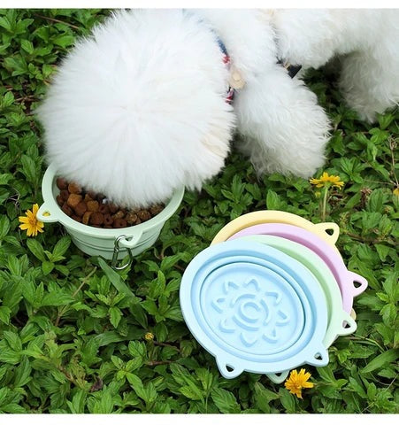 Dog eating from the 3-in-1 collapsible travel bowl on grass