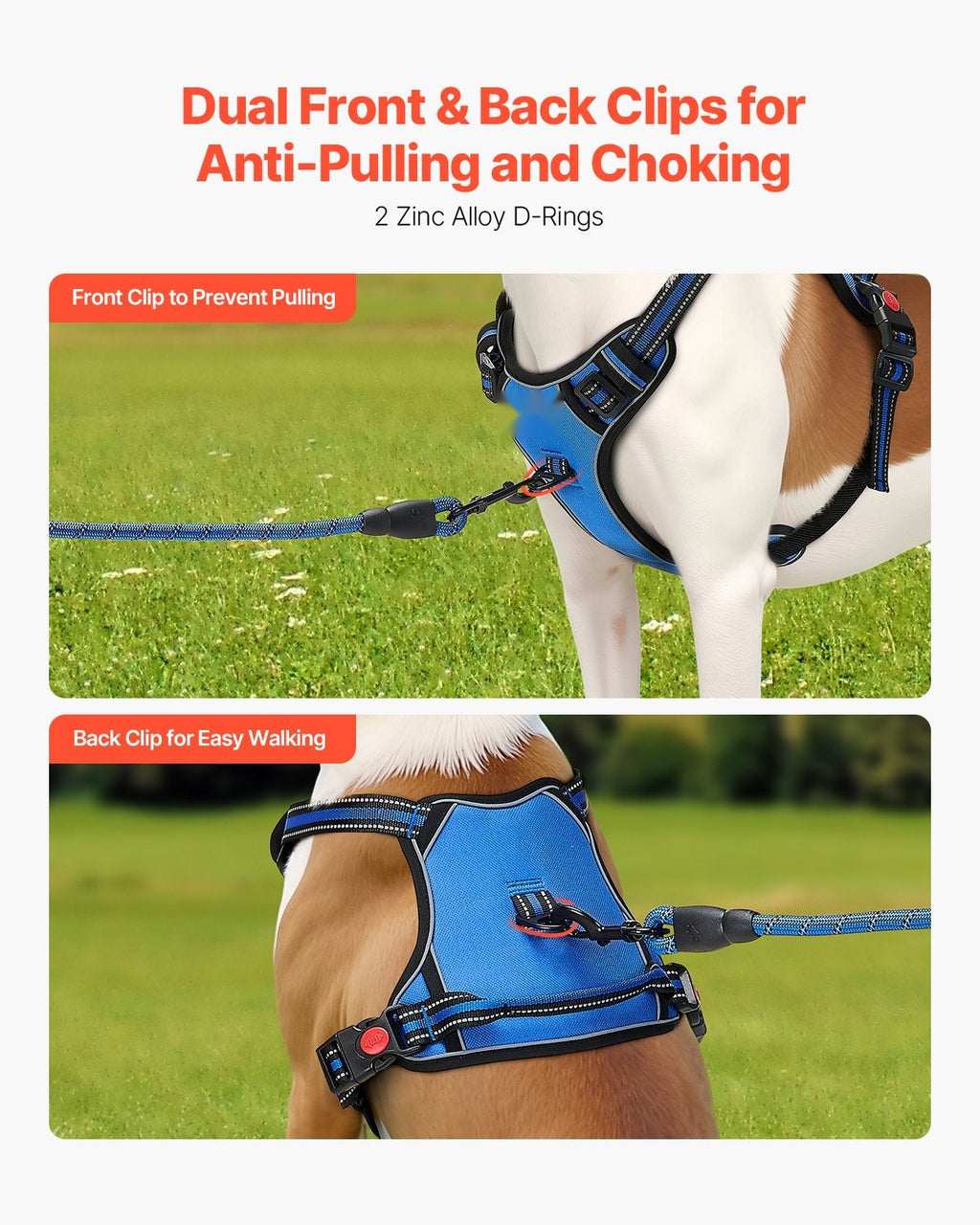 No-Pull Dog Harness — reflective stitching and dual-clip detail